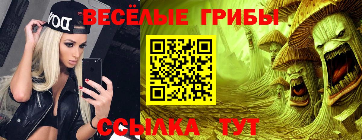 Псилоцибиновые грибы мицелий  Вход с VPN  Чистополь 